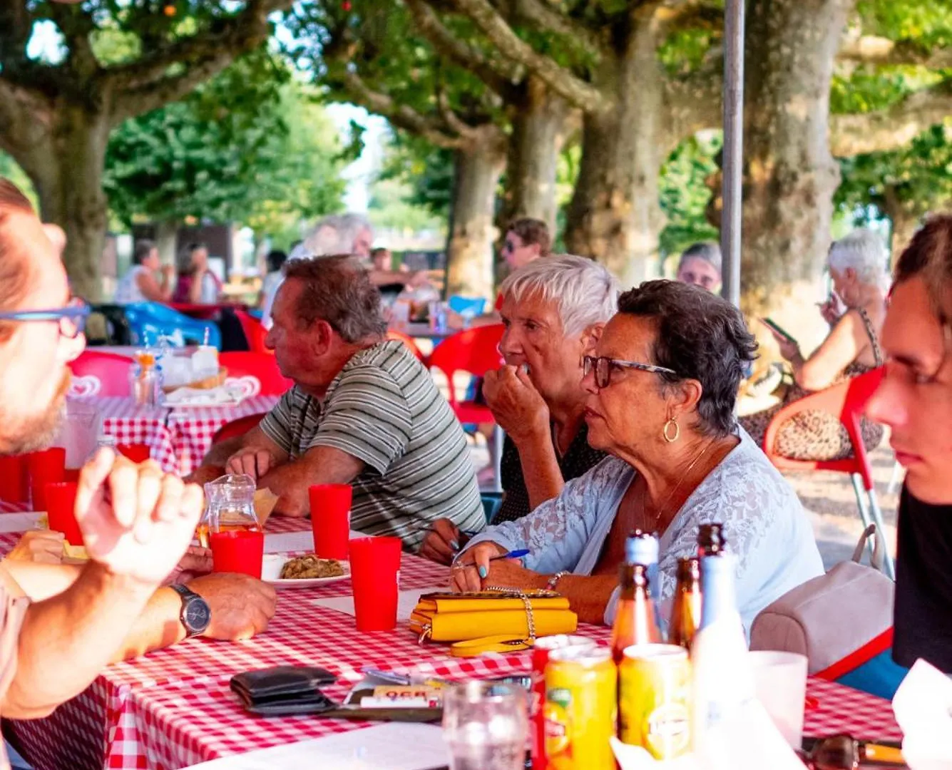 Camping De Thoissey *** 0*,